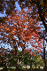 image0182