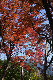 image0184