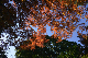 image0185