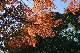 image0186