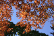 image0187