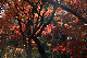 image0191