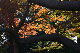 image0193