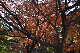 image0196