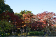 image0198