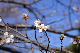 image0212