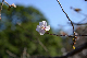 image0214