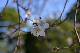 image0216