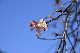 image0217