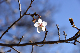 image0220