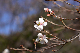 image0223