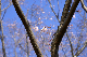 image0225