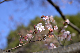image0228