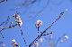 image0229