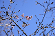 image0230
