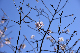 image0231