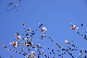 image0232