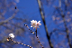image0234