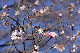 image0235