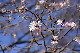 image0236