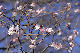 image0237