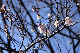 image0239