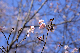 image0240