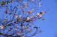 image0241