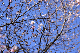 image0242