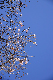 image0243