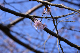image0244