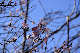image0245
