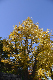 image0248