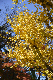 image0249