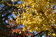 image0250