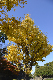 image0251