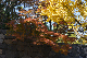 image0252