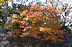 image0253