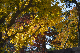 image0254