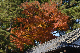 image0261