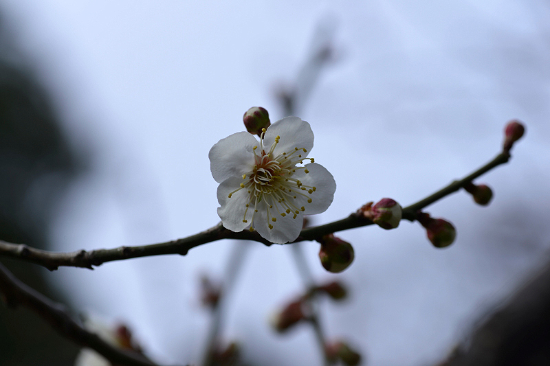 image0107