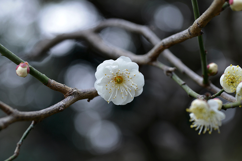image0140
