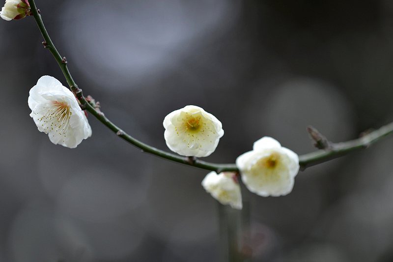 image0158