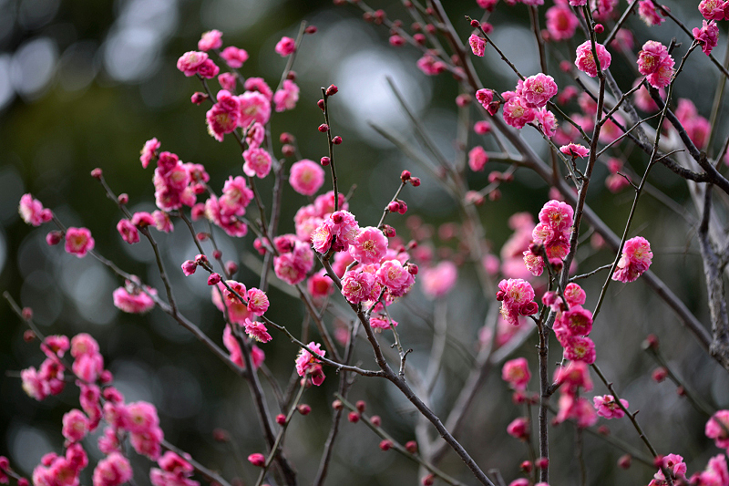 image0177