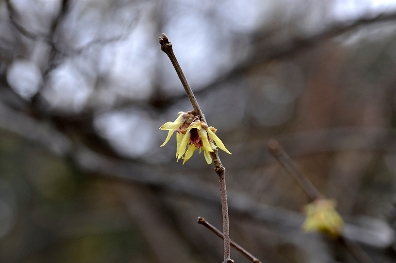 image0198