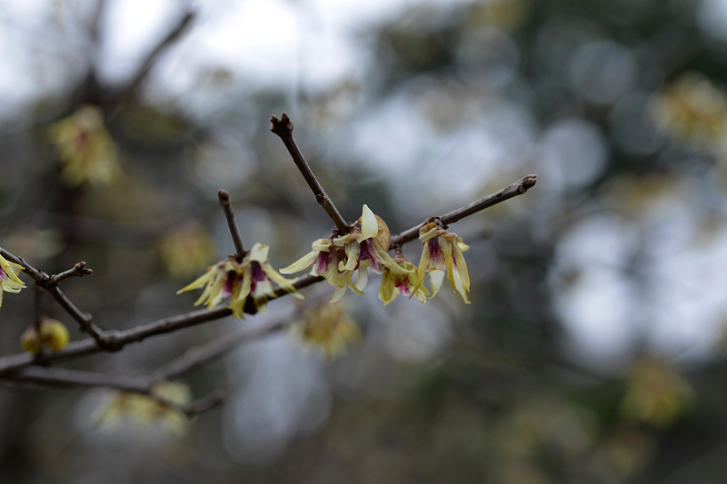 image0202