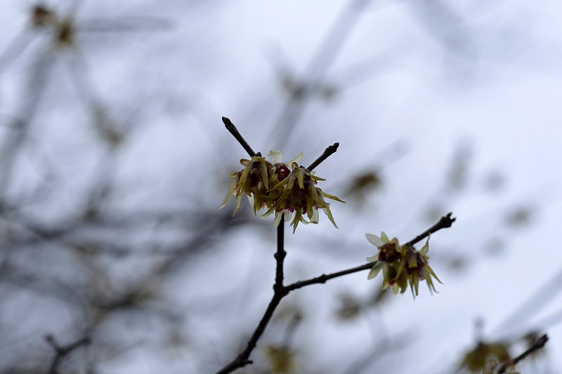 image0203