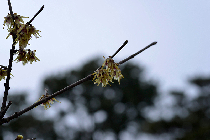 image0204