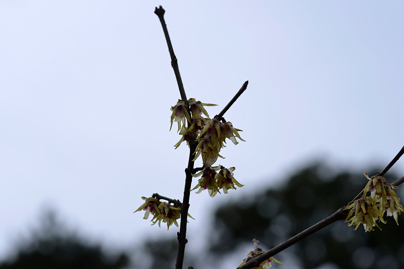 image0205