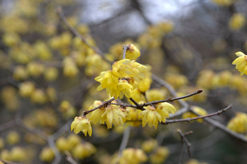 image0210